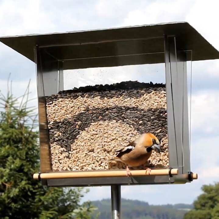 Vogelfutterhaus „Sichtfenster“